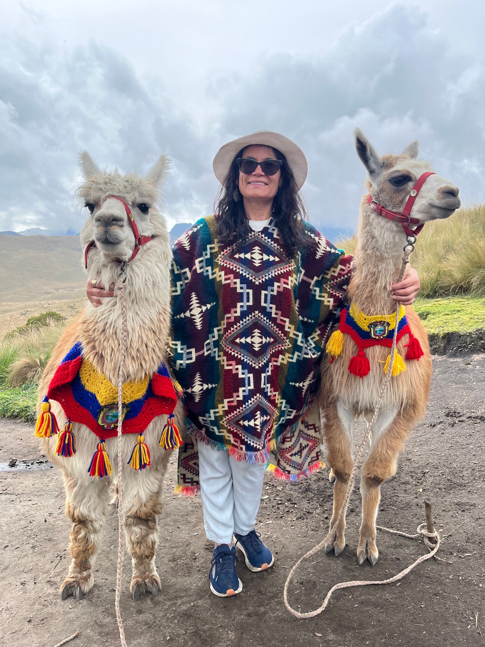 Nature & Reflection Gallery Image 10