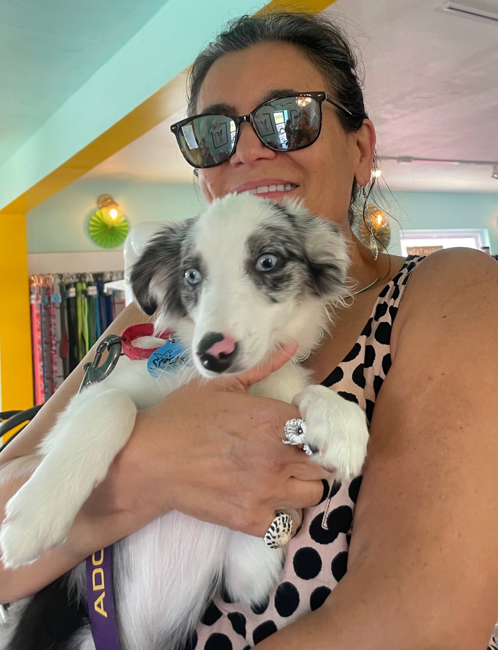 Nature & Reflection Gallery Image 16